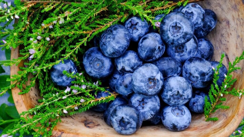 antocijanozidi nalaze se u borovnicama