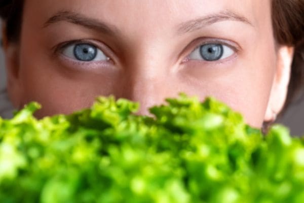 antioksidansi lutein i zeaksantin za zdrave oči u salati